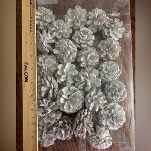 Frosted Pine Cone Decorative Set